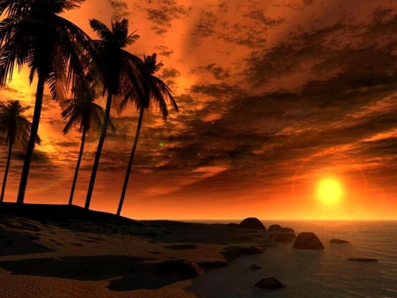Palm Trees on Beach — Orange, Dramatic, Sunset, Digital Art, Ocean, Rocks