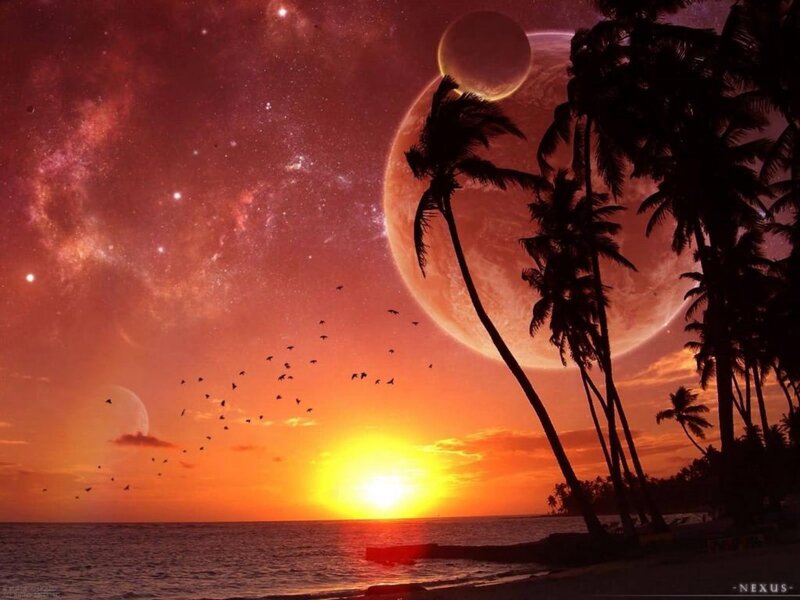 Palm Trees on Beach — Orange, Dramatic, Sunset, Digital Art, Planets, Birds
