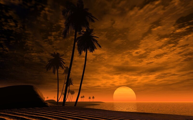 Palm Trees on Beach — Orange, Dramatic, Sunset, Digital Art, Sun, Ocean, Sand Dunes