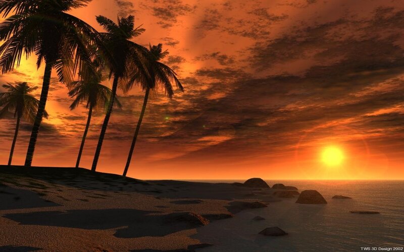 Palm Trees on Beach — Orange, Dramatic, Sunset, Digital Art, Sun, Ocean