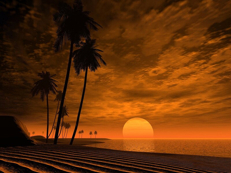Palm Trees on Beach — Orange, Dramatic, Sunset, Digital Art