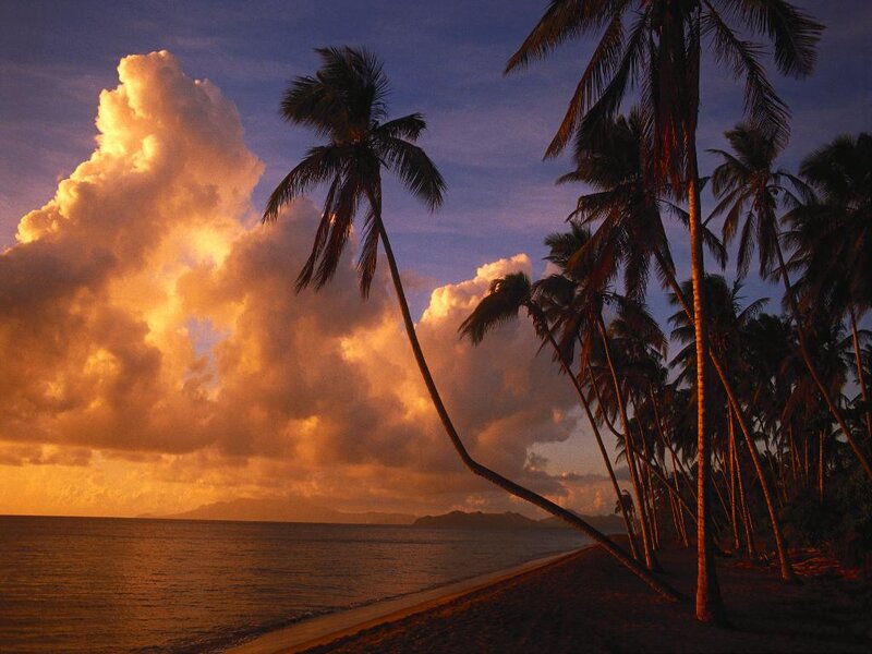Palm Trees on Beach — Orange, Dramatic, Sunset, Photograph, Clouds