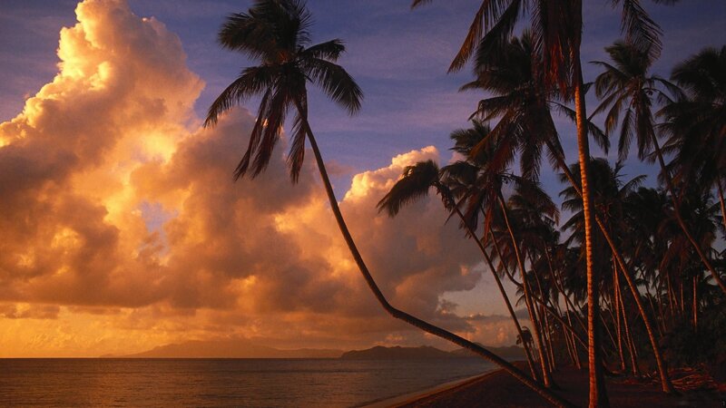 Palm Trees on Beach — Orange, Dramatic, Sunset, Photograph, Ocean, Clouds