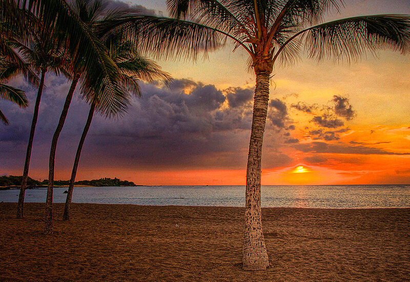 Palm Trees on Beach — Orange, Dramatic, Sunset, Photograph, Ocean