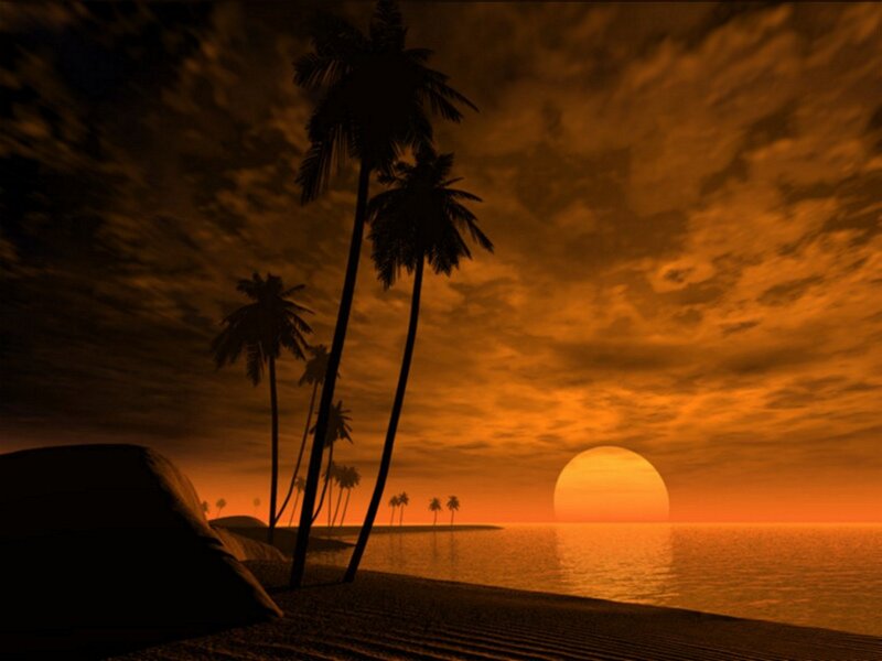 Palm Trees on Beach — Orange, Serene, Sunset, 3d Render, Ocean, Sun