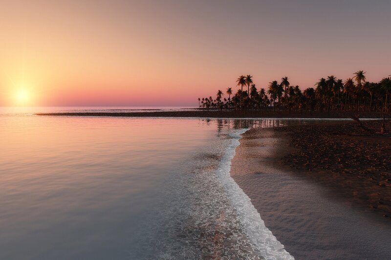 Palm Trees on Beach — Orange, Serene, Sunset, 3d Render