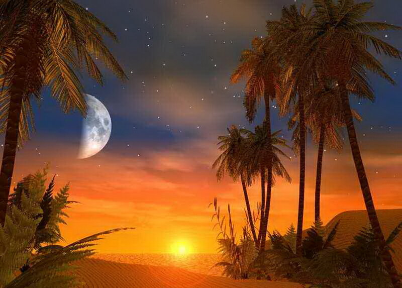 Palm Trees on Beach — Orange, Serene, Sunset, Digital Art, Moon