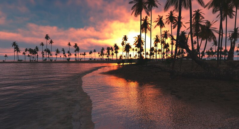 Palm Trees on Beach — Orange, Serene, Sunset, Digital Art, Ocean