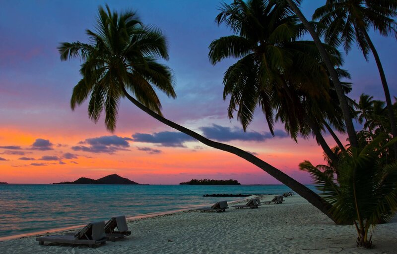 Palm Trees on Beach — Orange, Serene, Sunset, Photograph, Ocean, Island