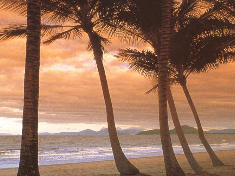 Palm Trees on Beach — Orange, Serene, Sunset, Photograph, Ocean, Mountains