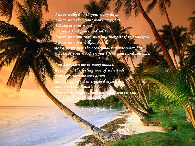Palm Trees on Beach — Orange, Serene, Sunset, Photograph, Ocean, Sky, Text