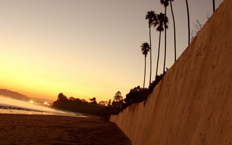 Palm Trees on Beach — Orange, Serene, Sunset, Photograph, Ocean, Wall
