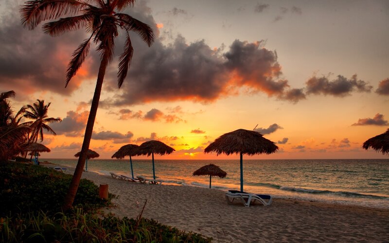 Palm Trees on Beach — Orange, Serene, Sunset, Photograph, Umbrellas