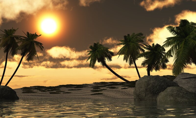 Palm Trees on Beach — Orange, Serene, Sunset