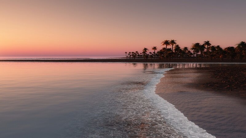 Palm Trees on Beach — Pink, Serene, Sunset