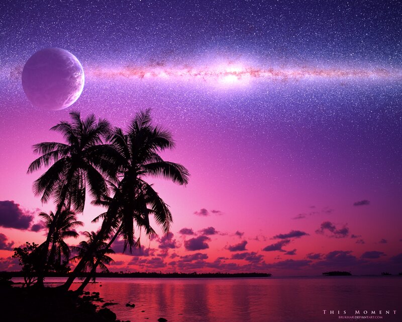 Palm Trees on Beach — Purple, Serene, Night