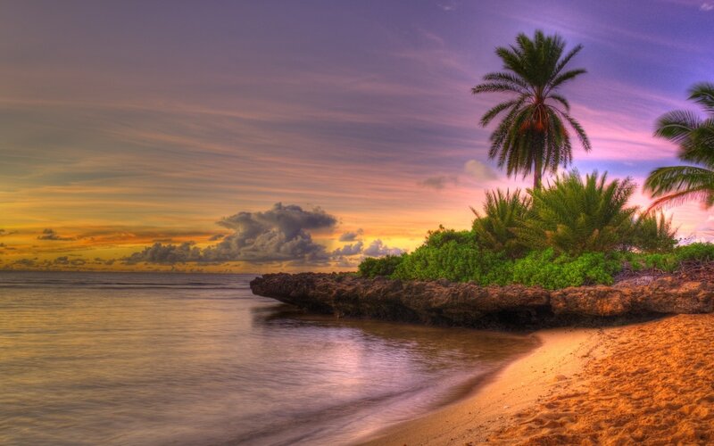 Palm Trees on Beach — Purple, Serene, Sunset