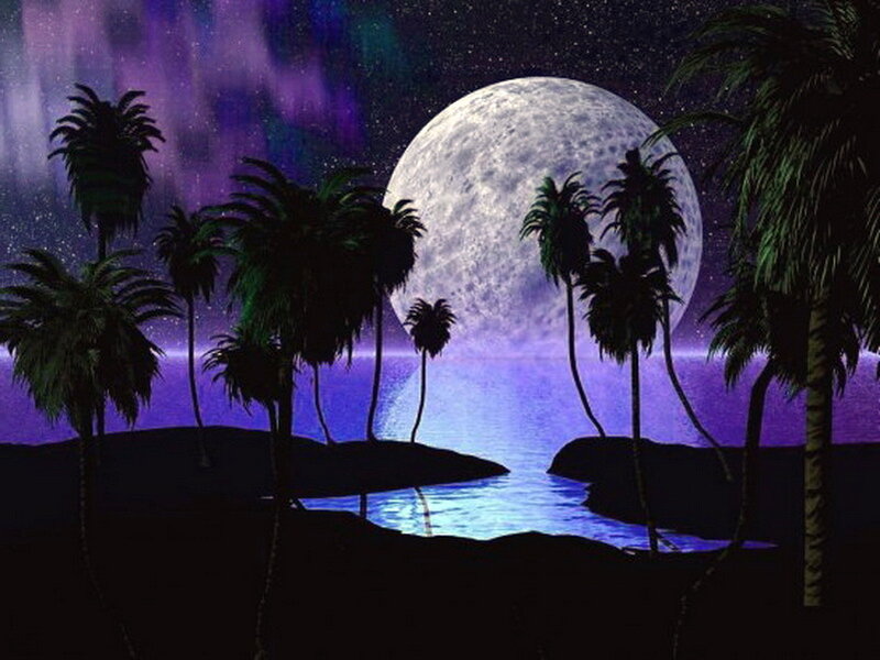 Palm Trees on Beach — Purple