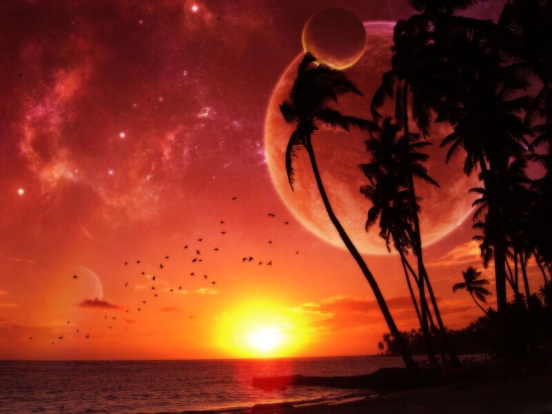 Palm Trees on Beach — Red
