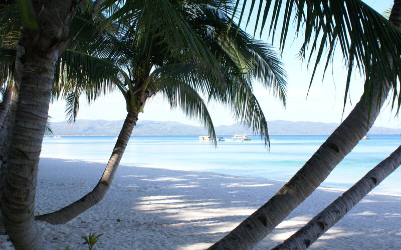 Palm Trees on Beach — White, Serene, Afternoon, Photograph, Ocean, Boats