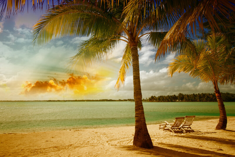 Palm Trees on Beach — Yellow, Serene, Sunset