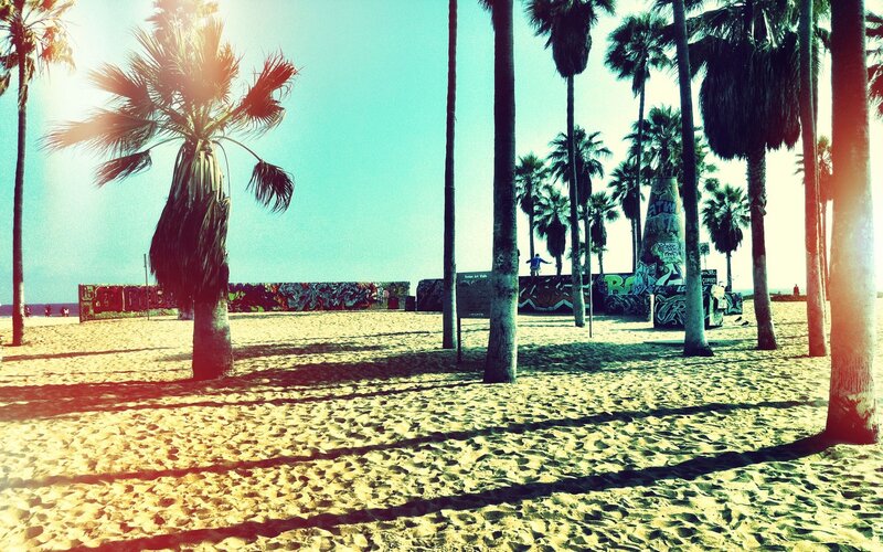 Palm Trees on Beach — Yellow, Sunny