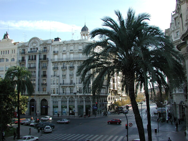 Palm Trees on City Street