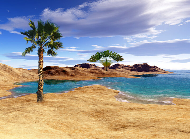 Palm Trees on Desert Island