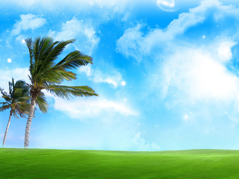 Palm Trees on Grass