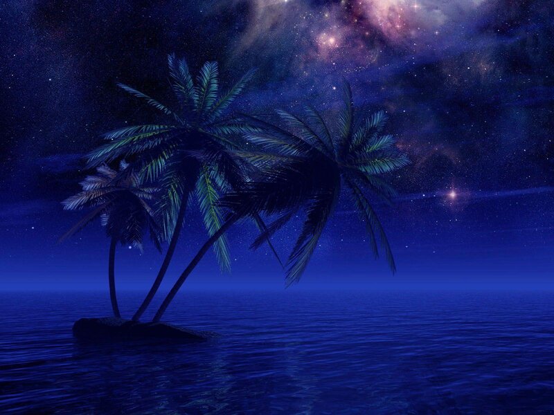 Palm Trees on Island — Blue, Serene, Night, Digital Art