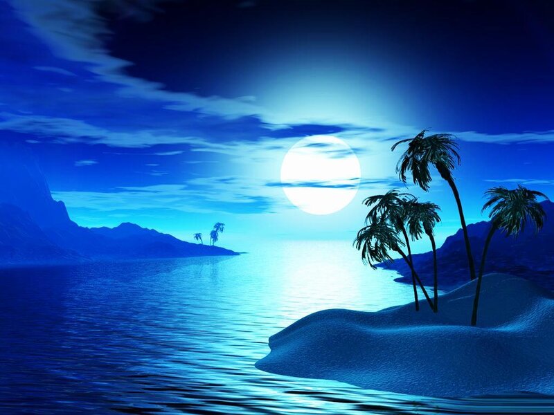 Palm Trees on Island — Blue, Serene, Night