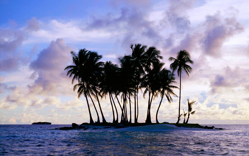 Palm Trees on Island — Blue, Serene, Sunset, Photograph