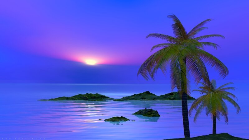 Palm Trees on Island — Blue, Serene, Sunset