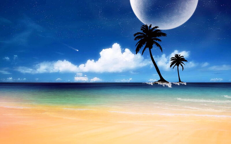 Palm Trees on Island — Blue, Serene