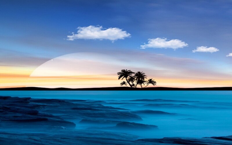 Palm Trees on Island — Blue
