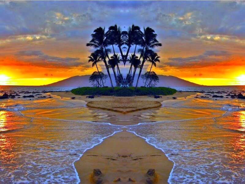 Palm Trees on Island — Orange, Dramatic, Sunset