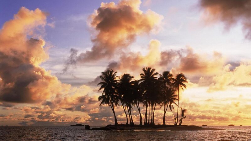 Palm Trees on Island — Orange, Serene, Sunset, Photograph
