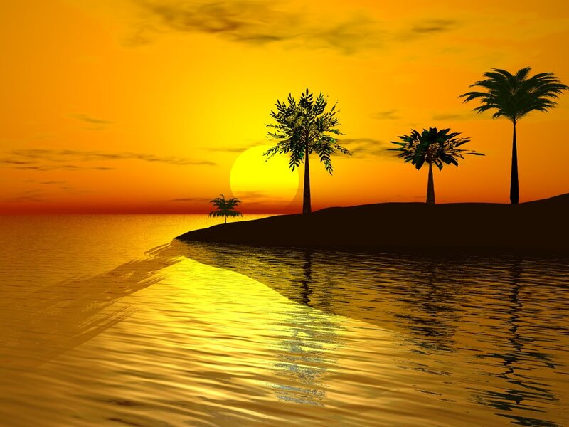 Palm Trees on Island — Orange, Serene, Sunset