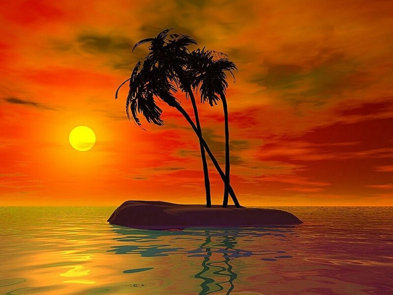Palm Trees on Island — Orange, Serene
