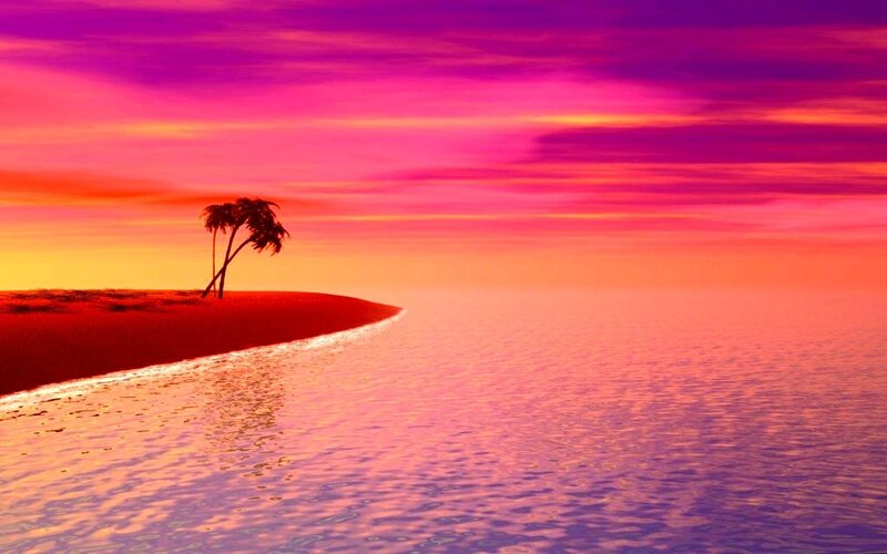 Palm Trees on Island — Pink, Dramatic