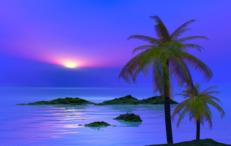 Palm Trees on Island
