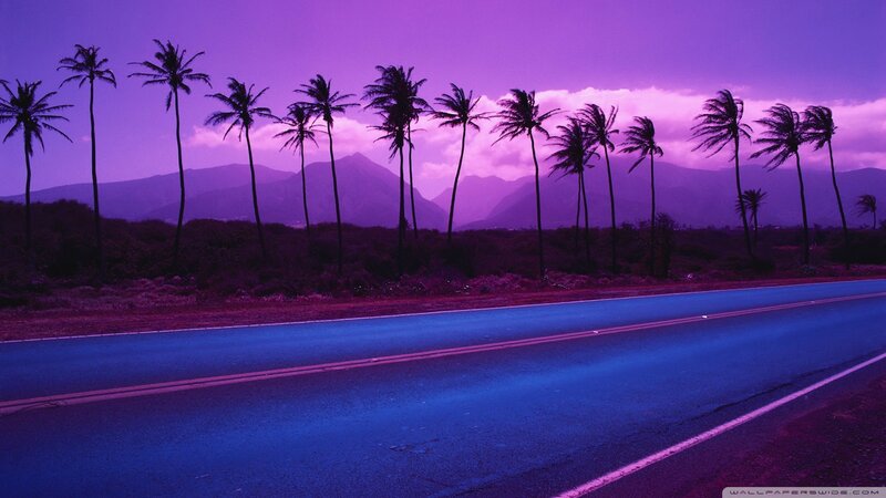 Palm Trees on Road — Purple, Dramatic, Night