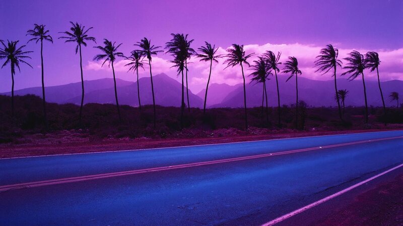 Palm Trees on Road — Purple, Dramatic, Sunset, Photograph, Mountains