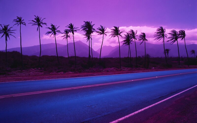 Palm Trees on Road — Purple, Dramatic, Sunset