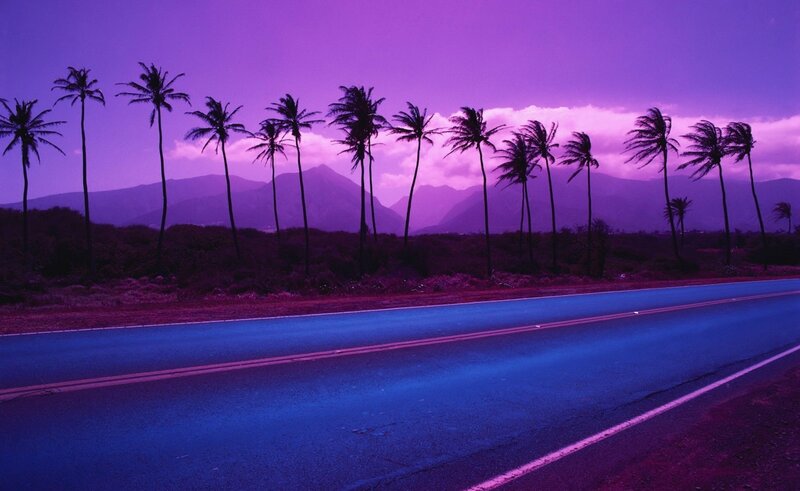 Palm Trees on Road — Purple, Dramatic