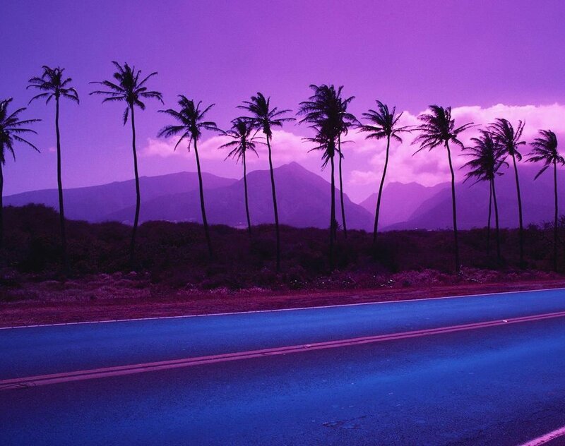 Palm Trees on Road — Purple, Dreamy