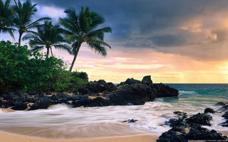 Palm Trees on Rocky Beach — Blue, Dramatic, Sunset