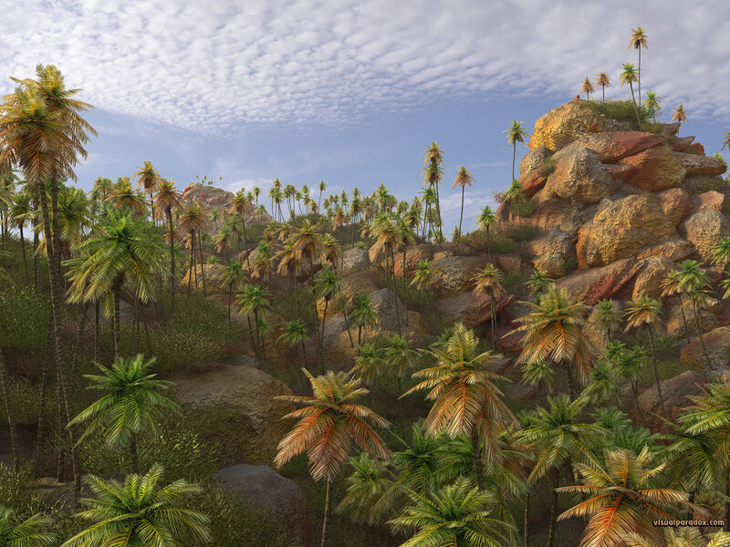 Palm Trees on Rocky Hill