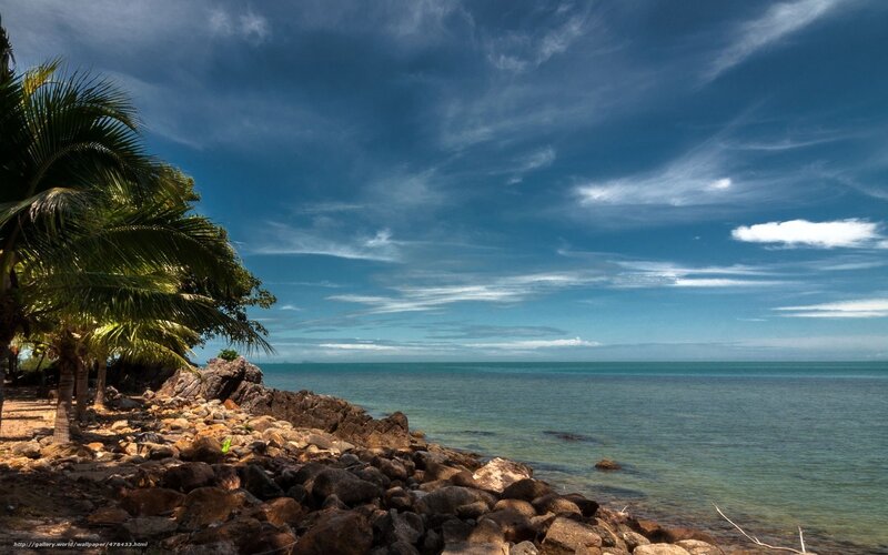 Palm Trees on Rocky Shore — Blue, Serene