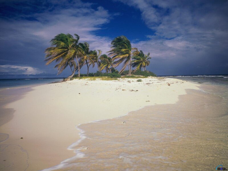 Palm Trees on Sandbar — Blue, Dramatic
